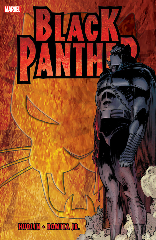 BLACK PANTHER: WHO IS THE BLACK PANTHER [NEW PRINTING] - Graphic Novels - Image - Pop Weasel