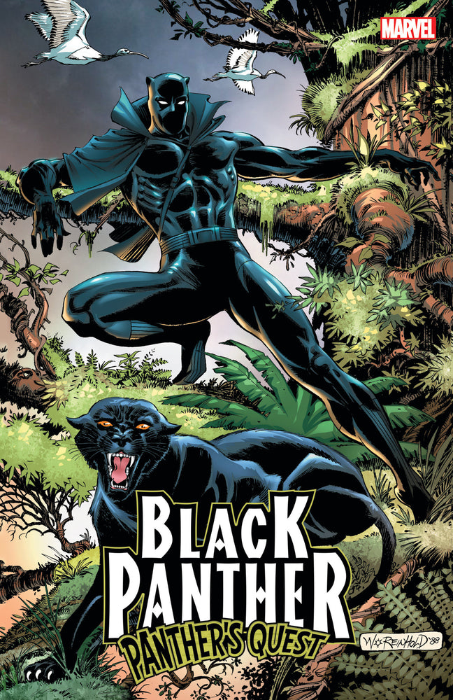 BLACK PANTHER: PANTHER'S QUEST - Graphic Novels - Image - Pop Weasel