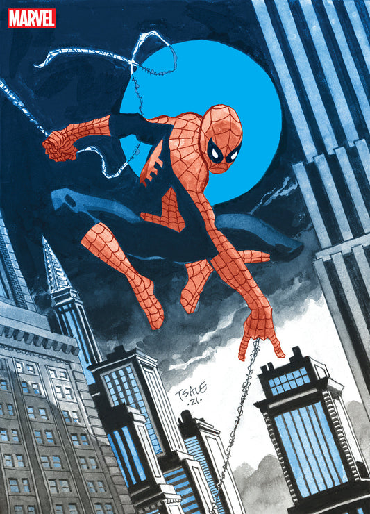 JEPH LOEB & TIM SALE: SPIDER-MAN GALLERY EDITION [DM ONLY] | Hardcover image