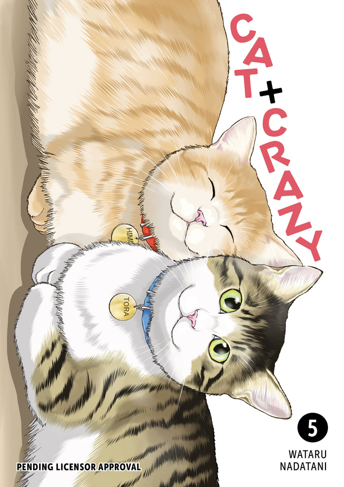 Cat + Crazy Volume 5 - Image - Graphic Novel - Image - Pop Weasel