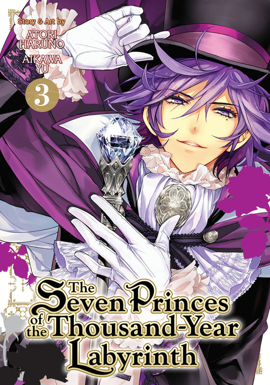 The Seven Princes of the Thousand-Year Labyrinth Vol. 3 image