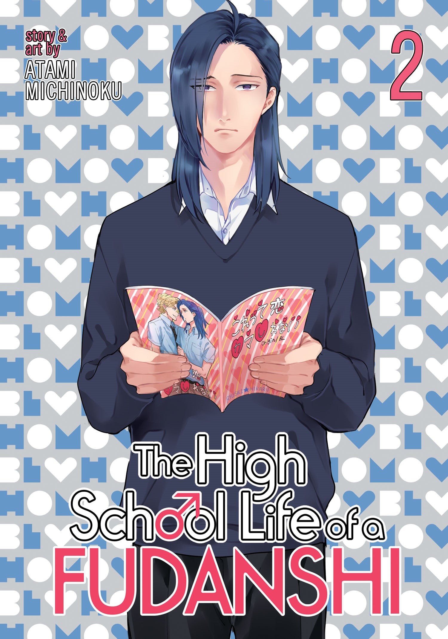 The High School Life of a Fudanshi Vol. 2 image