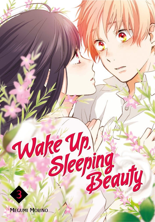 Wake Up, Sleeping Beauty 3 image