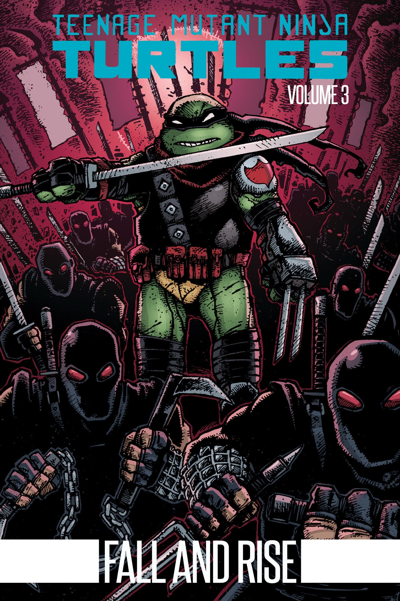 Teenage Mutant Ninja Turtles Volume 3: Fall and Rise image