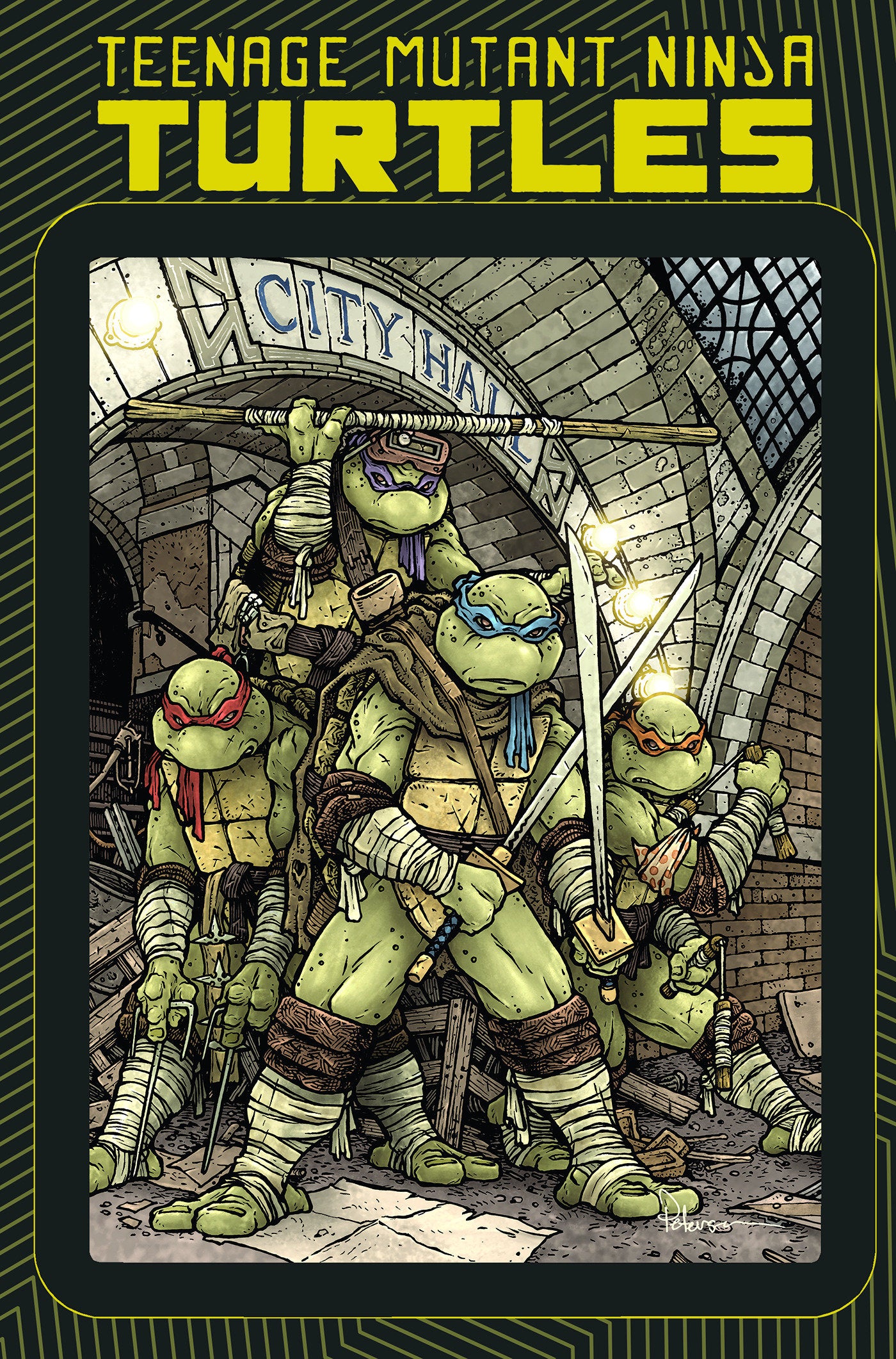 Teenage Mutant Ninja Turtles: Macro-Series image