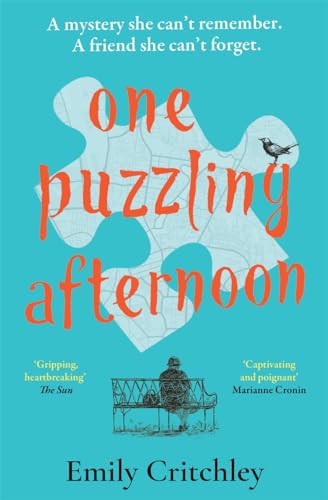 One Puzzling Afternoon The most compelling, heartbreaking debut mystery - Books - Image - Pop Weasel