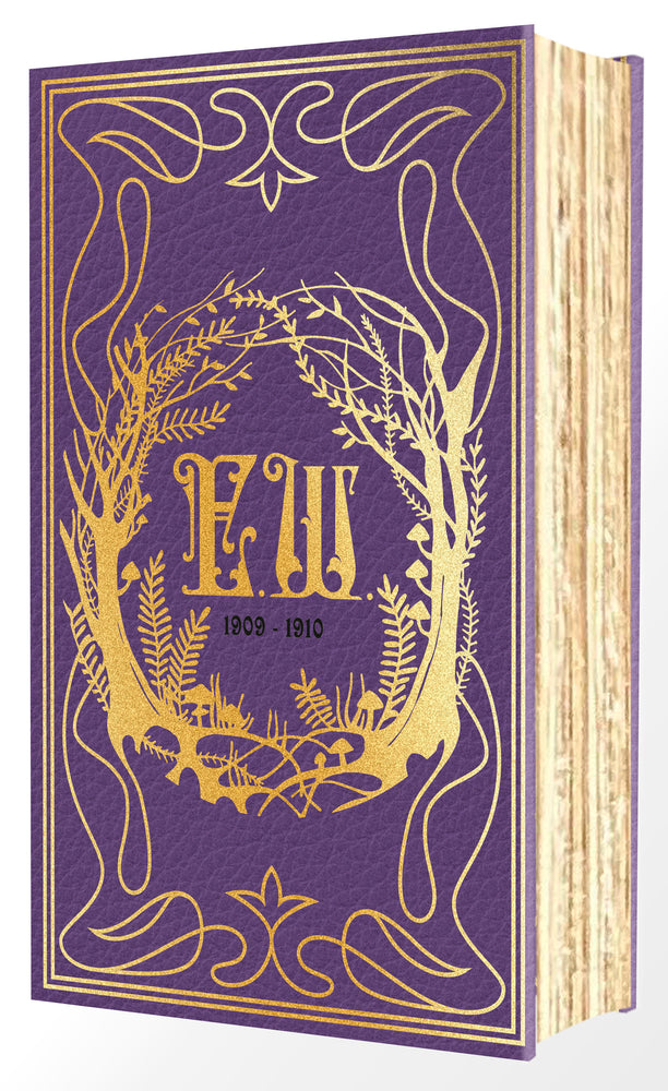 Emily Wilde's Encyclopaedia Of Faeries (Deluxe Edition) - Image - Graphic Novel - Image - Pop Weasel