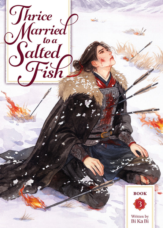 Thrice Married To A Salted Fish (Novel) Vol. 3 - Image