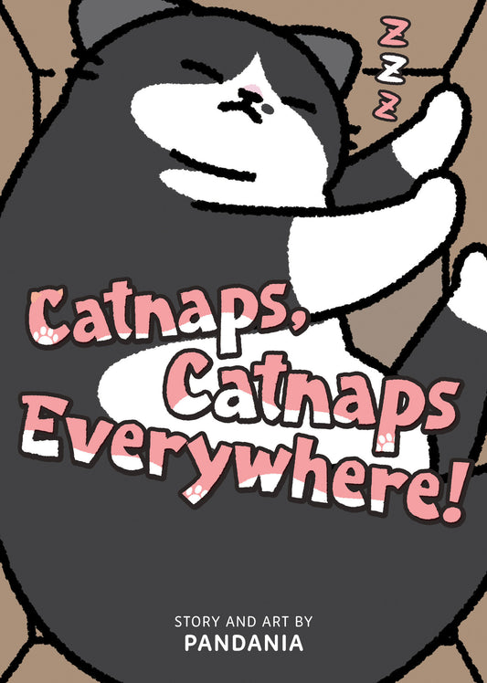 Catnaps, Catnaps Everywhere!