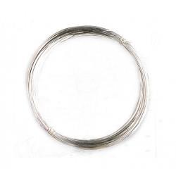 Galv. Wire .25mm (10m)