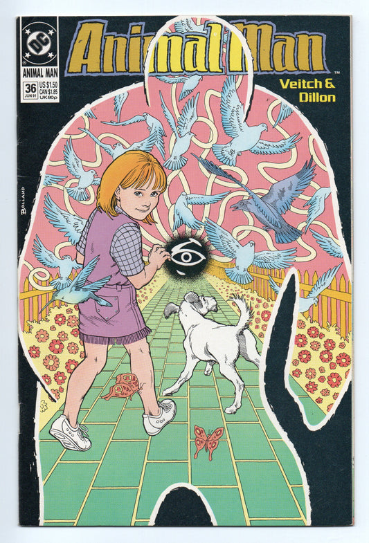 Pre-Owned - Animal Man #36  (June 1991)