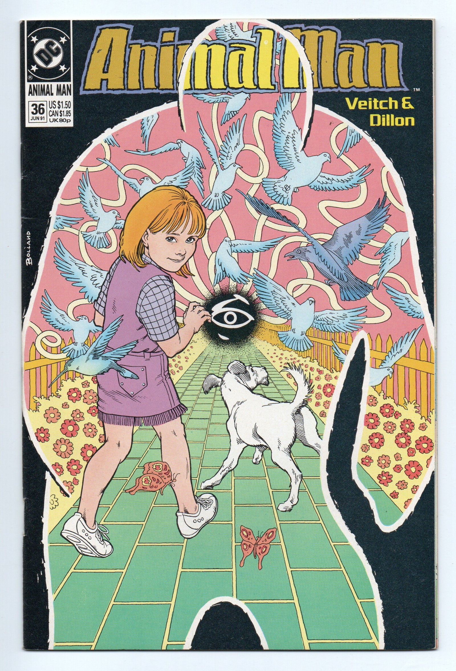 Pre-Owned - Animal Man