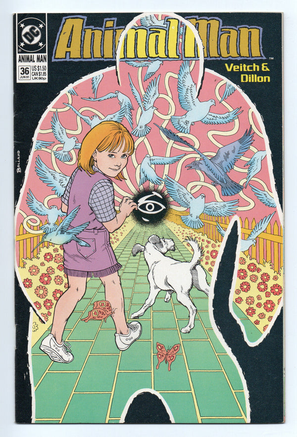 Pre-Owned - Animal Man #36  (June 1991)