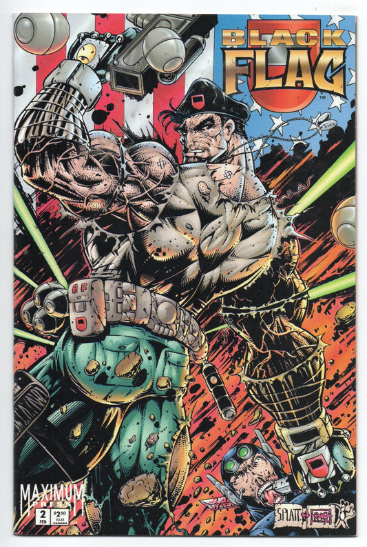 Pre-Owned - Black Flag #2  (January 1995)