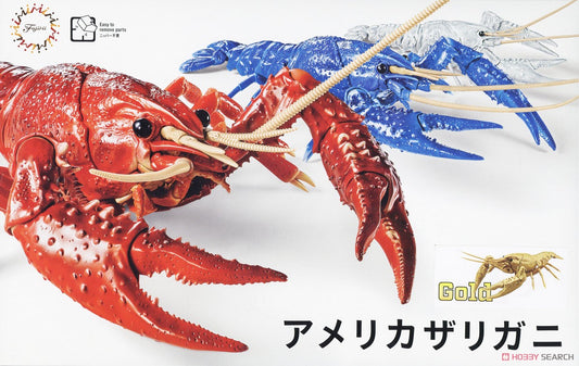 Biology: Crayfish (Gold)