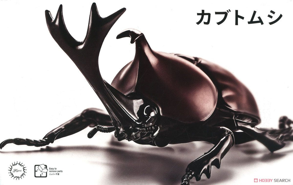 Biology: Beetle (repl170725 - Model - Image - Pop Weasel