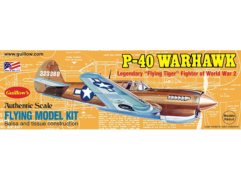 1/30 P-40 Warhawk - Model - Image - Pop Weasel