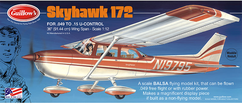 xx1/16 Cessna Skyhawk - Model - Image - Pop Weasel