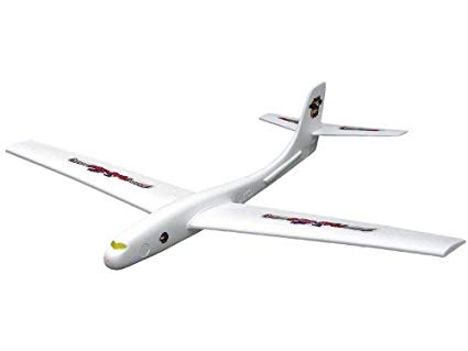 xxFlying Eagle Sailplane (6