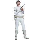 Star Wars - Padme Amidala Attack of the Clones 1:6th Scale Collectable Action Figure - Hot Toys
