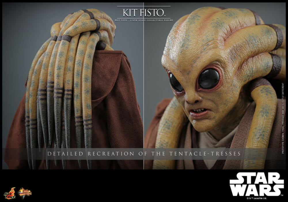 Image Pop Weasel - Image 10 of Star Wars - Kit Fisto 1:6 Figure - Hot Toys - Statue - Image - Pop Weasel