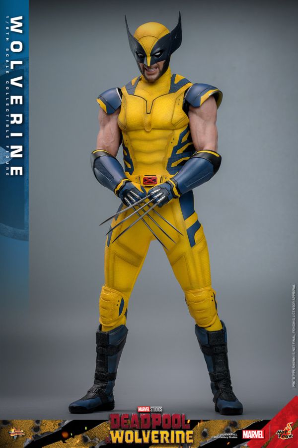 Image Pop Weasel - Image 2 of Deadpool & Wolverine - Wolverine 1:6 Figure - Hot Toys - Statue - Image - Pop Weasel