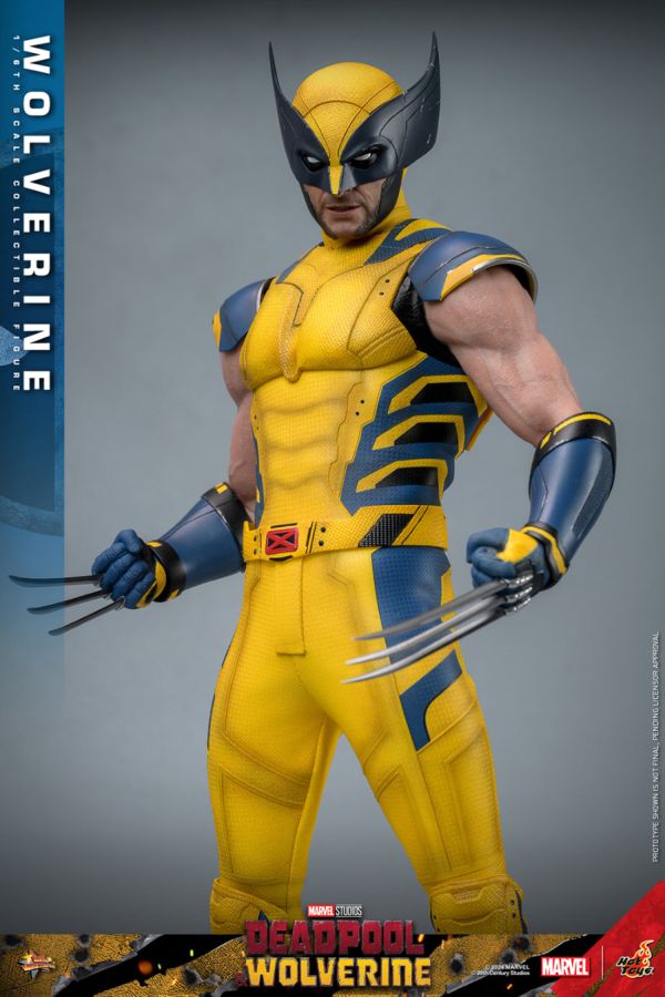 Image Pop Weasel - Image 5 of Deadpool & Wolverine - Wolverine 1:6 Figure - Hot Toys - Statue - Image - Pop Weasel