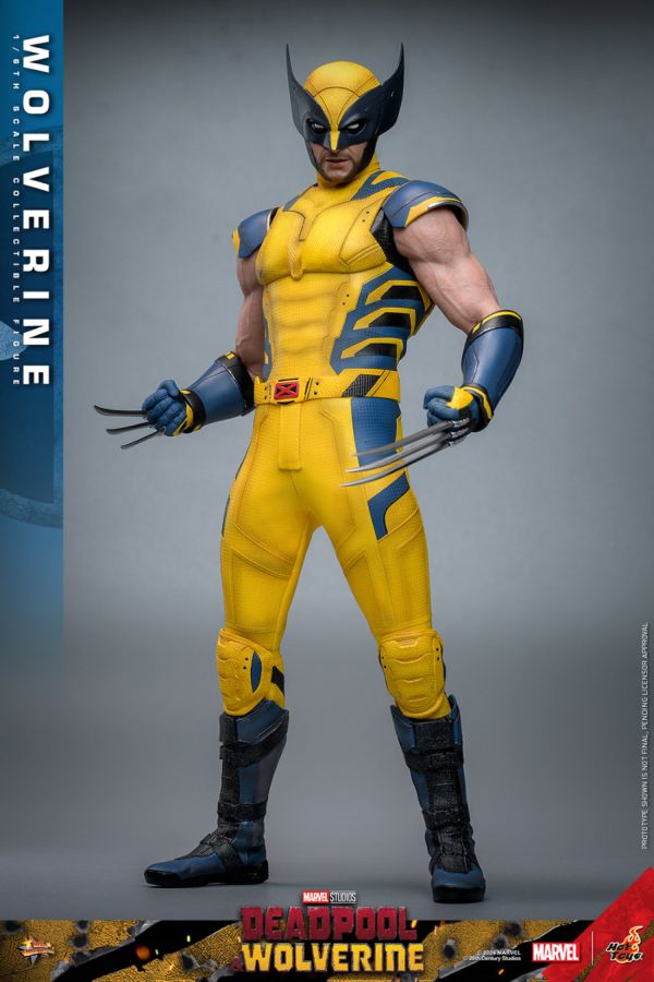 Image Pop Weasel - Image 6 of Deadpool & Wolverine - Wolverine 1:6 Figure - Hot Toys - Statue - Image - Pop Weasel