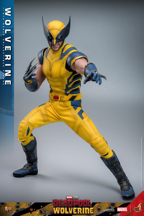 Image Pop Weasel - Image 7 of Deadpool & Wolverine - Wolverine 1:6 Figure - Hot Toys - Statue - Image - Pop Weasel