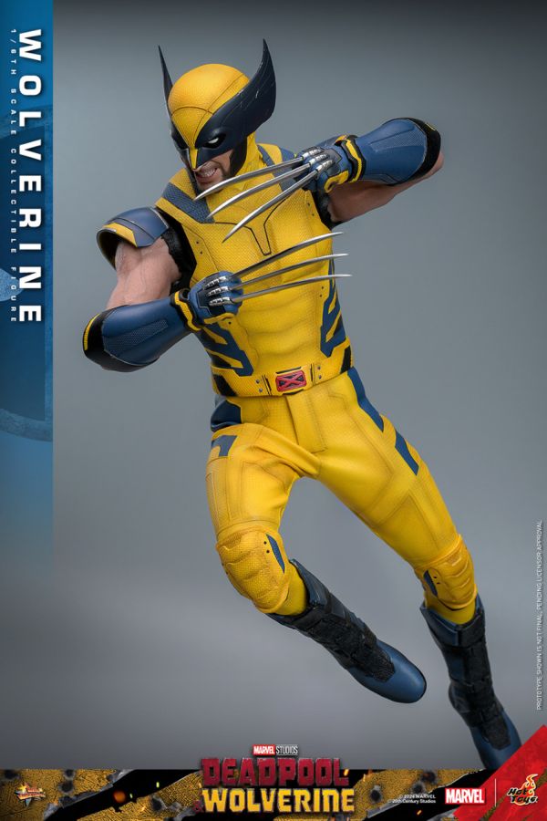 Image Pop Weasel - Image 9 of Deadpool & Wolverine - Wolverine 1:6 Figure - Hot Toys