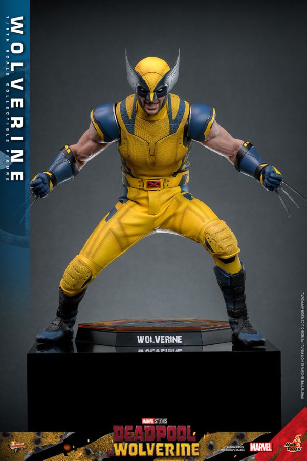 Image Pop Weasel - Image 11 of Deadpool & Wolverine - Wolverine 1:6 Figure - Hot Toys - Statue - Image - Pop Weasel