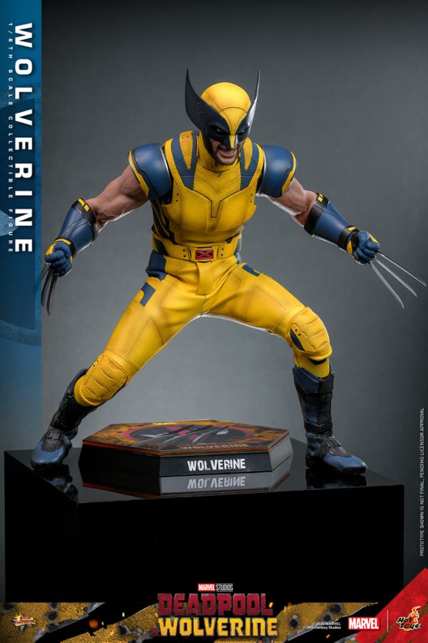 Image Pop Weasel - Image 12 of Deadpool & Wolverine - Wolverine 1:6 Figure - Hot Toys - Statue - Image - Pop Weasel