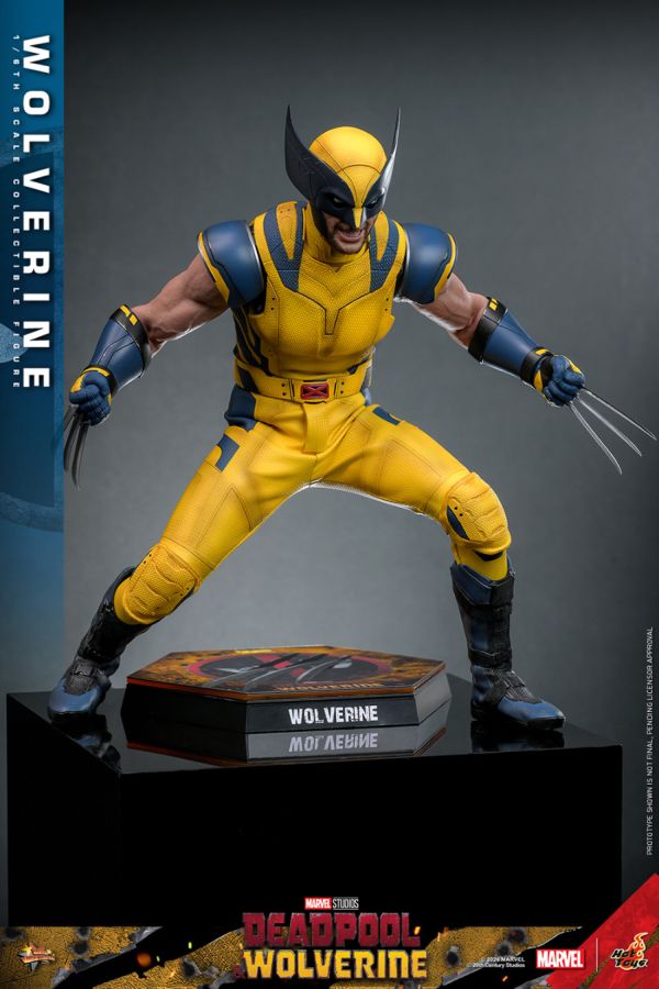 Image Pop Weasel - Image 12 of Deadpool & Wolverine - Wolverine 1:6 Figure - Hot Toys