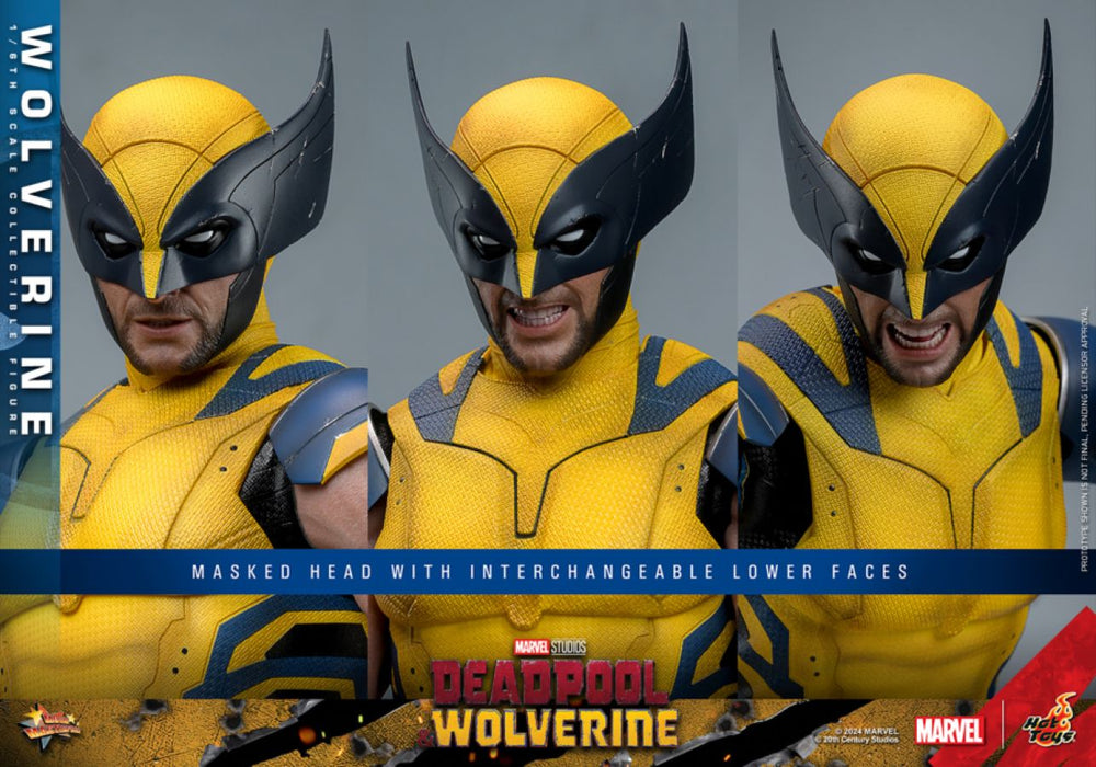 Image Pop Weasel - Image 13 of Deadpool & Wolverine - Wolverine 1:6 Figure - Hot Toys - Statue - Image - Pop Weasel