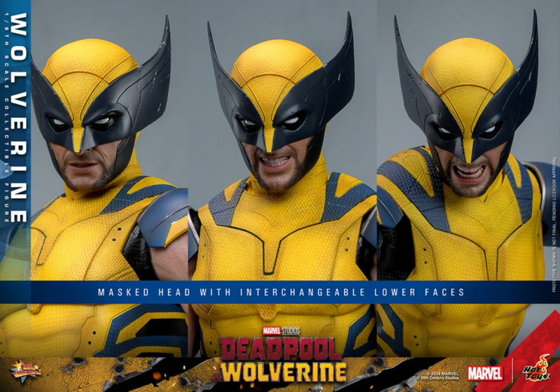 Image Pop Weasel - Image 13 of Deadpool & Wolverine - Wolverine 1:6 Figure - Hot Toys