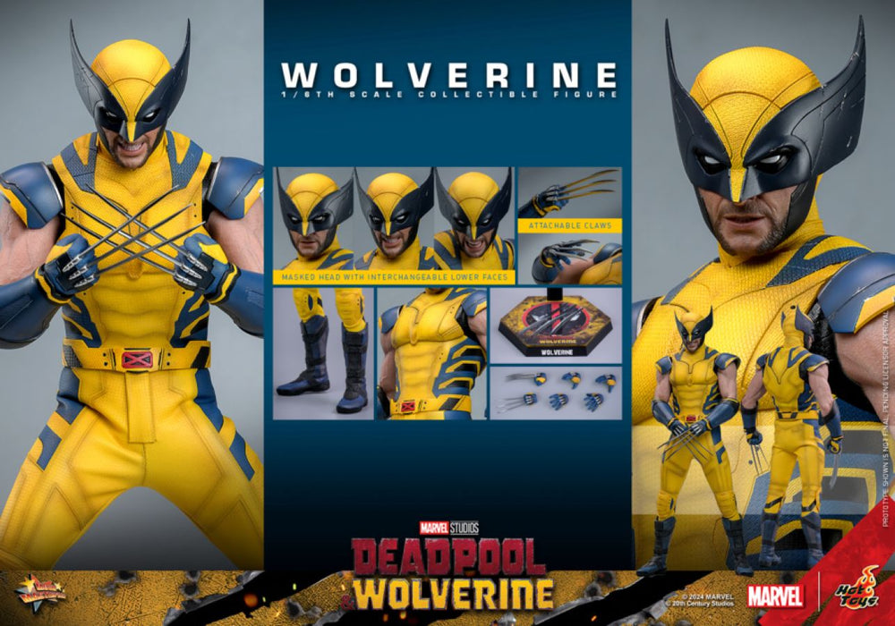 Image Pop Weasel - Image 14 of Deadpool & Wolverine - Wolverine 1:6 Figure - Hot Toys - Statue - Image - Pop Weasel