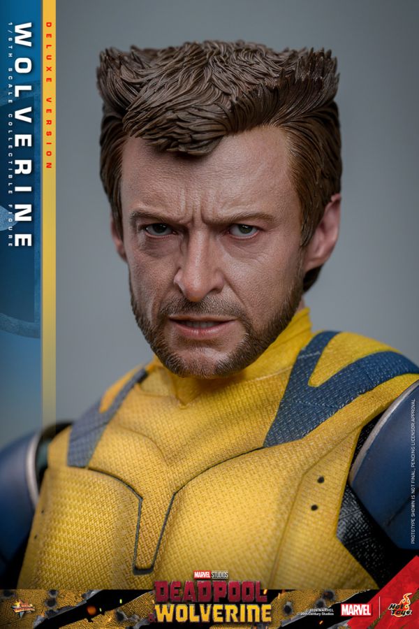 Image Pop Weasel - Image 4 of Deadpool & Wolverine - Wolverine Deluxe 1:6 Figure - Hot Toys - Statue - Image - Pop Weasel