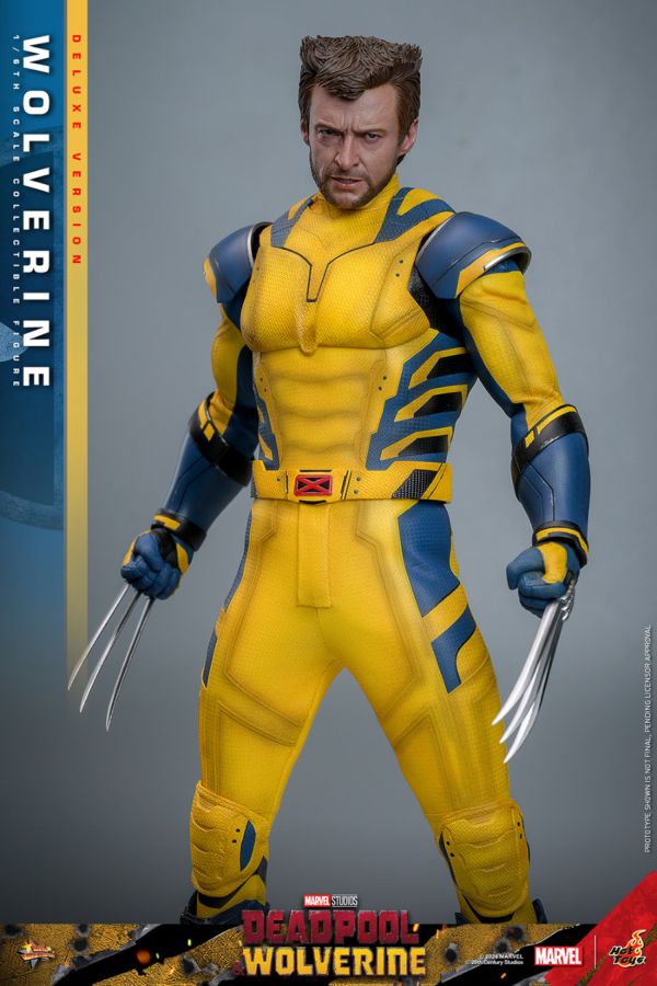 Image Pop Weasel - Image 5 of Deadpool & Wolverine - Wolverine Deluxe 1:6 Figure - Hot Toys - Statue - Image - Pop Weasel