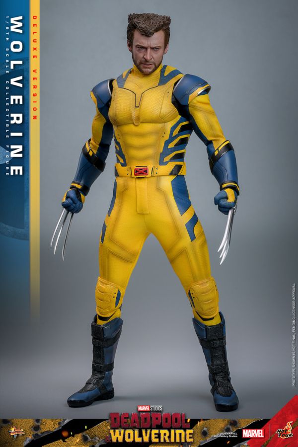 Image Pop Weasel - Image 6 of Deadpool & Wolverine - Wolverine Deluxe 1:6 Figure - Hot Toys - Statue - Image - Pop Weasel