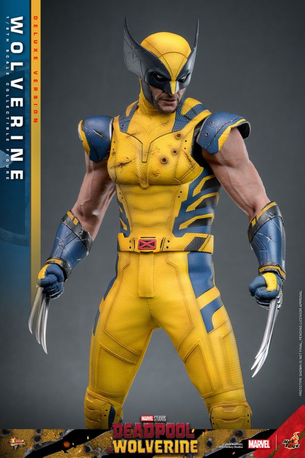 Image Pop Weasel - Image 7 of Deadpool & Wolverine - Wolverine Deluxe 1:6 Figure - Hot Toys - Statue - Image - Pop Weasel