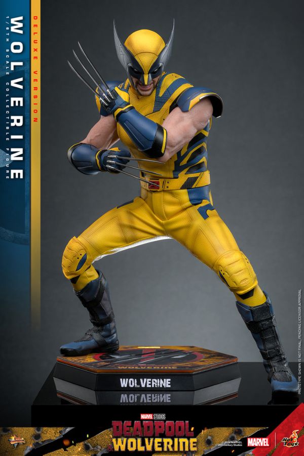 Image Pop Weasel - Image 9 of Deadpool & Wolverine - Wolverine Deluxe 1:6 Figure - Hot Toys - Statue - Image - Pop Weasel