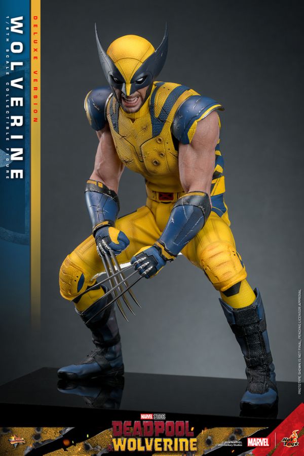 Image Pop Weasel - Image 10 of Deadpool & Wolverine - Wolverine Deluxe 1:6 Figure - Hot Toys - Statue - Image - Pop Weasel