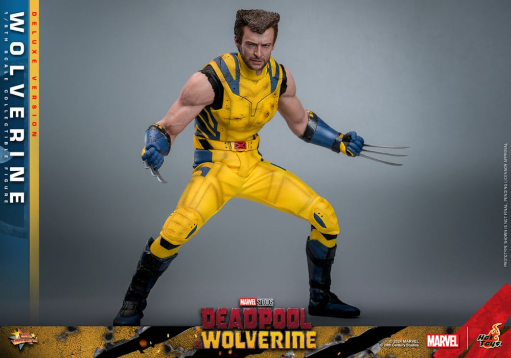 Image Pop Weasel - Image 14 of Deadpool & Wolverine - Wolverine Deluxe 1:6 Figure - Hot Toys - Statue - Image - Pop Weasel