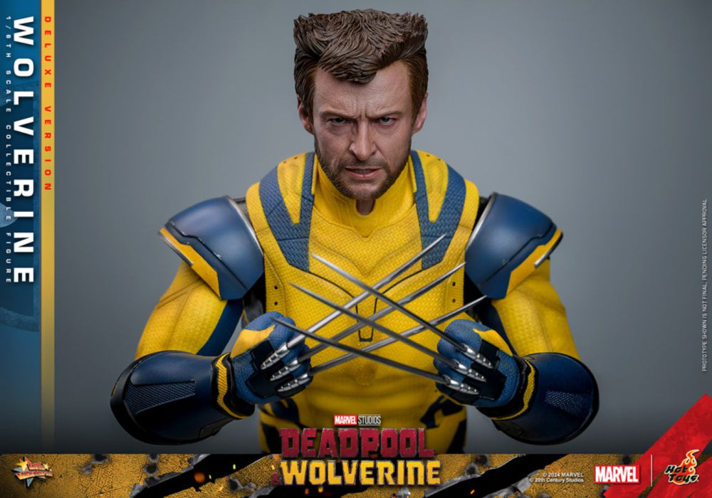 Image Pop Weasel - Image 17 of Deadpool & Wolverine - Wolverine Deluxe 1:6 Figure - Hot Toys - Statue - Image - Pop Weasel