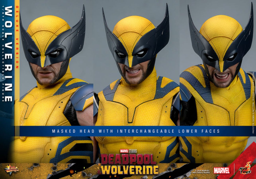 Image Pop Weasel - Image 20 of Deadpool & Wolverine - Wolverine Deluxe 1:6 Figure - Hot Toys - Statue - Image - Pop Weasel