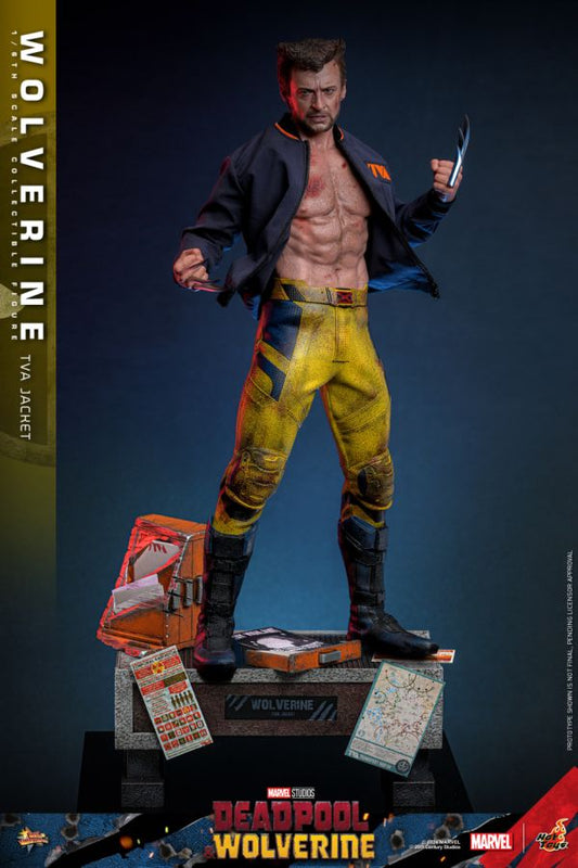 Image Pop Weasel - Image 2 of Deadpool & Wolverine - Wolverine (TVA Jacket) 1:6 Scale Collectable Action Figure - Hot Toys