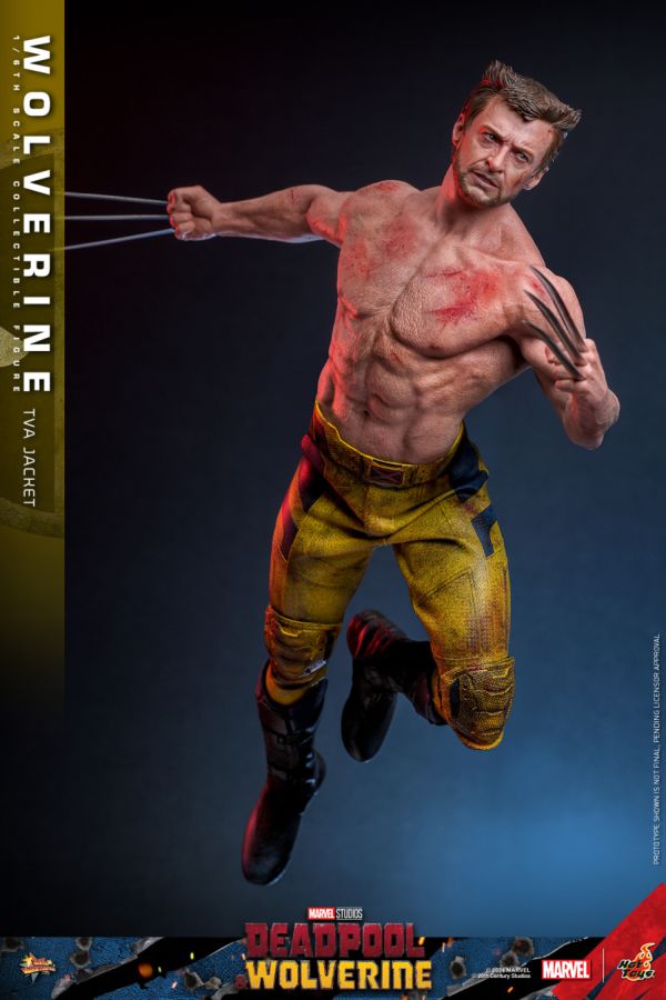 Image Pop Weasel - Image 4 of Deadpool & Wolverine - Wolverine (TVA Jacket) 1:6 Scale Collectable Action Figure - Hot Toys - Statue - Image - Pop Weasel