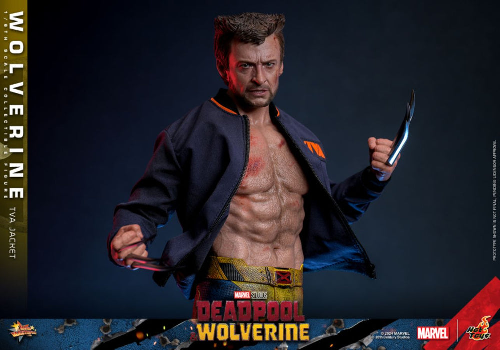 Image Pop Weasel - Image 6 of Deadpool & Wolverine - Wolverine (TVA Jacket) 1:6 Scale Collectable Action Figure - Hot Toys - Statue - Image - Pop Weasel