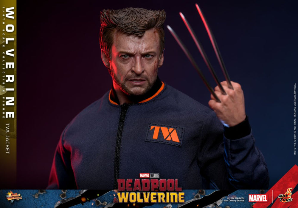 Image Pop Weasel - Image 7 of Deadpool & Wolverine - Wolverine (TVA Jacket) 1:6 Scale Collectable Action Figure - Hot Toys - Statue - Image - Pop Weasel