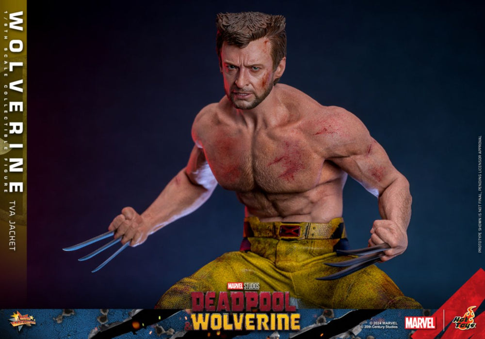 Image Pop Weasel - Image 8 of Deadpool & Wolverine - Wolverine (TVA Jacket) 1:6 Scale Collectable Action Figure - Hot Toys - Statue - Image - Pop Weasel